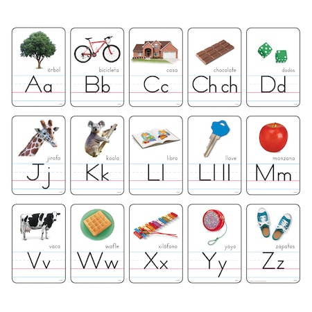 Trend Enterprises Spanish Alphabet Cards Set, 5.5" x 8.25" T8056